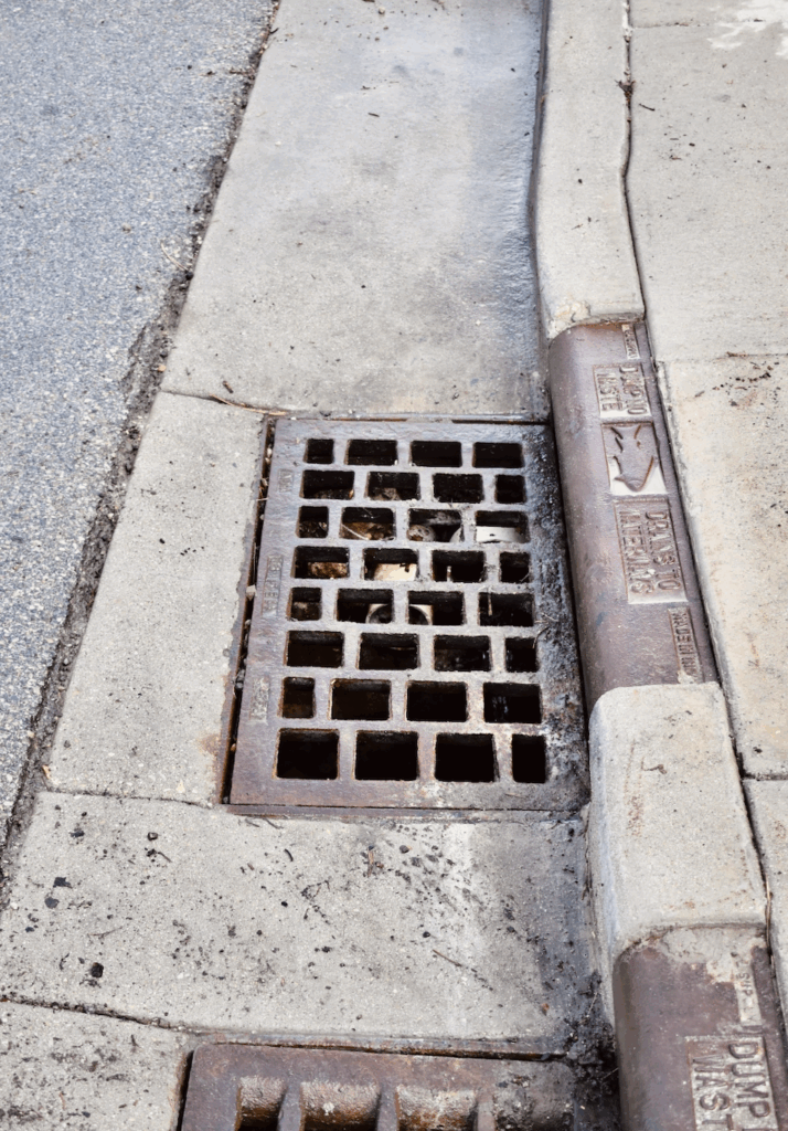 Screenshot 2025-04-17 at 12.04.53 PM